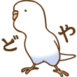 インコ気まぐれ 破壊神