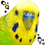 インコの王子様