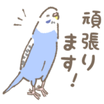 とりちゃんたちの敬語