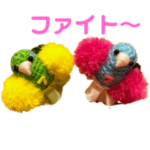 インコ鳥どり♡編みぐるみスタンプ・日常編