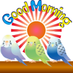 動く！インコトリ尾