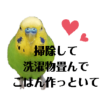 しゃべるインコ