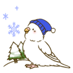 すこやかインコ 3