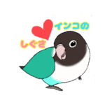 インコのしぐさ