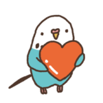 インコといっしょ２