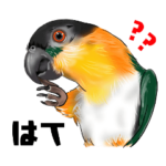 鳥さん集合〜猛禽類,インコ,オウム,野鳥〜