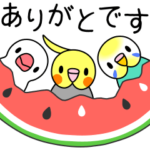 インコ と 文鳥 