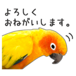 色鮮やか♪インコのフォトスタンプ