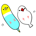 ブンチョウとインコ時々ネコ①