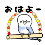 かわいい　青色インコスタンプ
