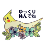 kikiの小鳥スタンプ•イラスト編