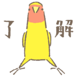 コザクラインコのとりもも（イエロー系）