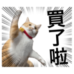 yoyocheck1tout part.2