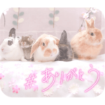 イベントスタンプ〜お花見の巻〜