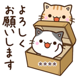 大人の便利な５匹のちび猫