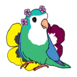 インコのにおい