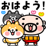 動く！おやじ君と２匹の柴犬