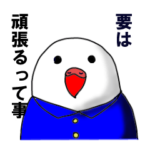 学生バード　～受験編～