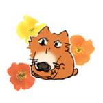 いなまるアニマル