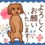 ダックス大好き◆レッド◆可愛いすぎない