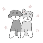 シュナウザーのジジトトスタンプ