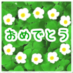 ずっと使える花のお祝い☆誕生日☆イベント