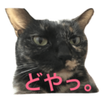 サビ猫サザエさん