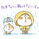 ★まるぴのひとりごと★