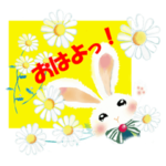 うさぎのまるぴ