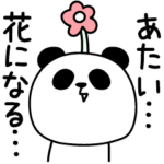 パンダダークールじゃない