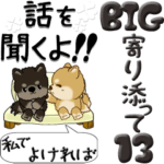 ちゃちゃ丸 13『私がいるよ！』