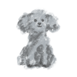 プリルスタンプ