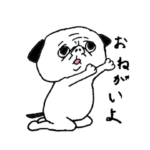 小パグの楽しい毎日