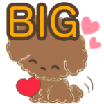 からあげ＊トイプードル＊BIG