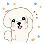 白くてもふもふ！マルプーの日常スタンプ2