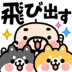 飛び出す！おやじ君と２匹の柴犬