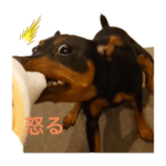 Ella ryu_20220401164838