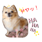 ナナちゃんスタンプ