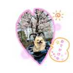 ナナちゃんスタンプ