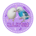 チコリンちゃんねる2