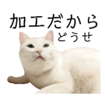 公式スタンプNEW！活字２