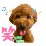 ぴょんまる御前2