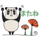 mottoのゆるゆるぱんだ♡毎日