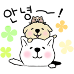 動く▷わんことモルの韓国語 その1