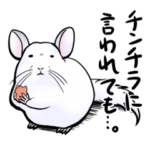すこやかチンチラ
