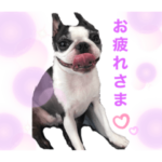 レイちいスタンプ④