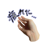 私の手が紡ぐメッセージ