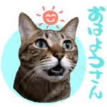 猫のすたんぷ。。