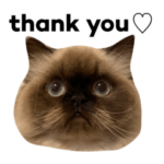 ヒマラヤン猫みーちゃんスタンプ2022