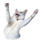 smol and upsized catto